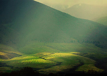 24小时不停呼叫软件